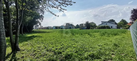 Terrain à Ebenfurth, Austria 1621m² No. 195583 3