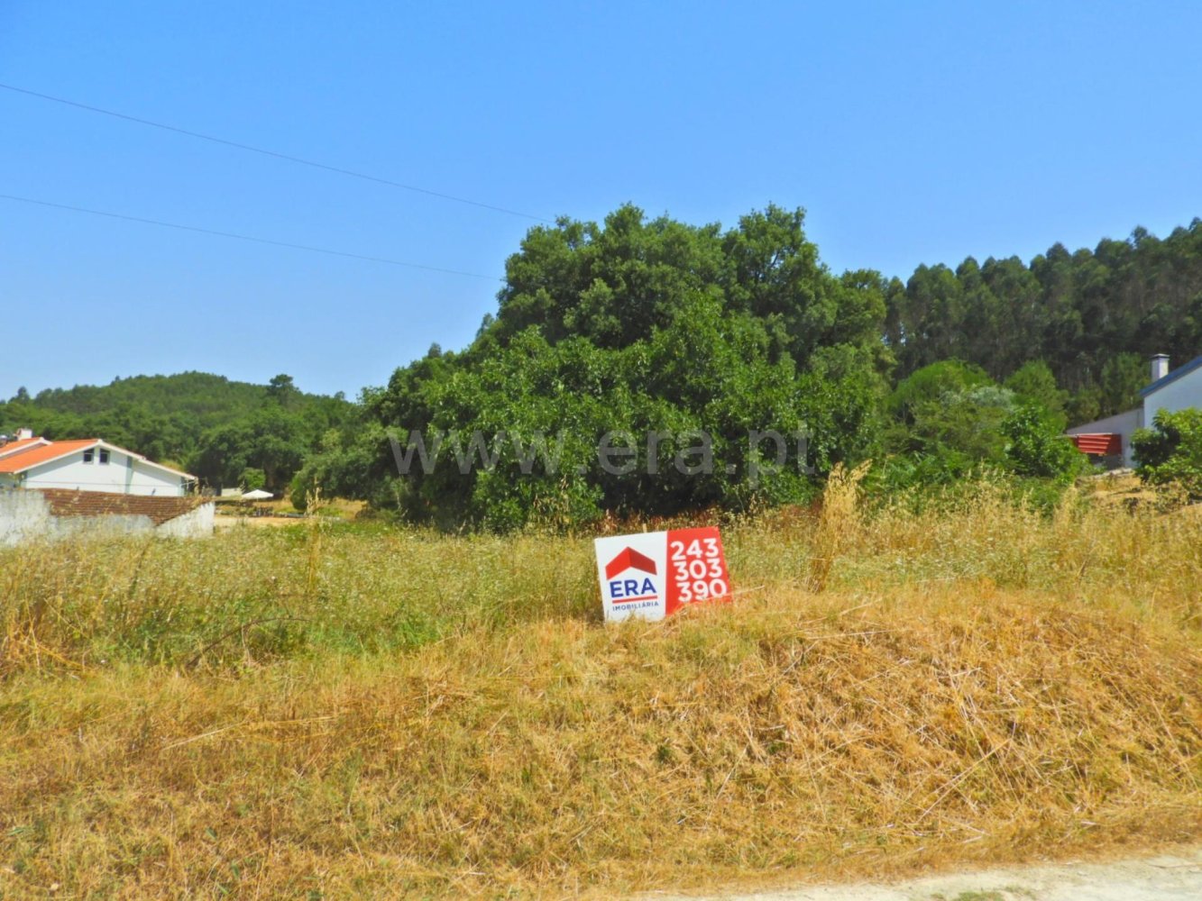  Land in Rio Maior, Portugal No. 194025