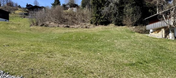 Land in Egg, Austria No. 43968 4