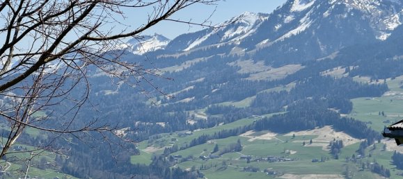 Land in Egg, Austria No. 43968 10