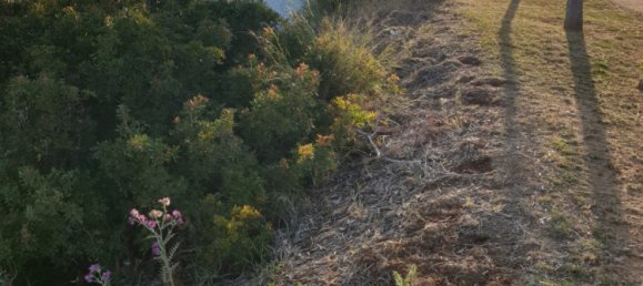  Land in Cadiz, Spain No. 29377 21