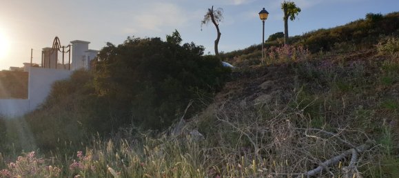  Land in Cadiz, Spain No. 29377 7