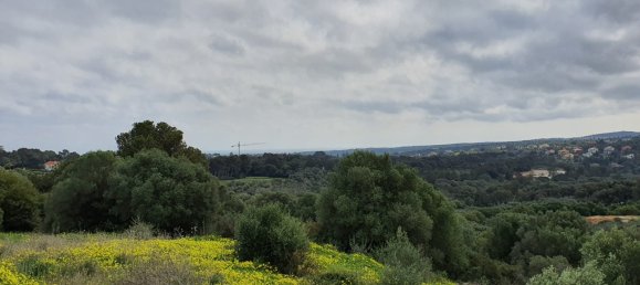  Land in Cadiz, Spain No. 29377 8