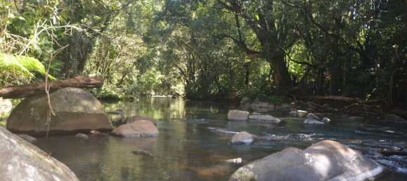 4 غرف نوم مزرعة في Millaa Millaa, Australia رقم 526 27