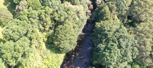 4 غرف نوم مزرعة في Millaa Millaa, Australia رقم 526 21