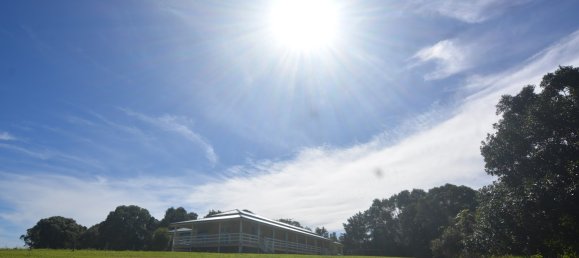 4 غرف نوم مزرعة في Millaa Millaa, Australia رقم 526 5