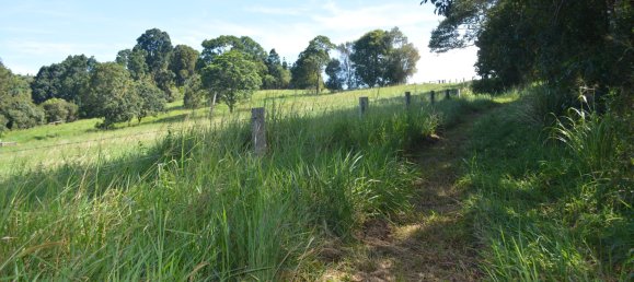 4 غرف نوم مزرعة في Millaa Millaa, Australia رقم 526 16