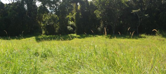 4 غرف نوم مزرعة في Millaa Millaa, Australia رقم 526 23