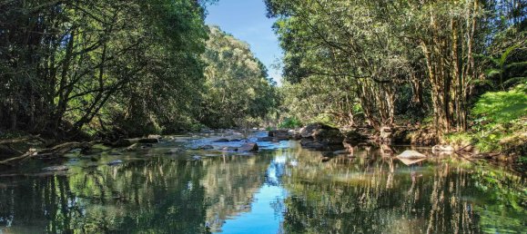 4 غرف نوم مزرعة في Millaa Millaa, Australia رقم 526 14