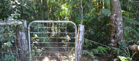 4 غرف نوم مزرعة في Millaa Millaa, Australia رقم 526 24