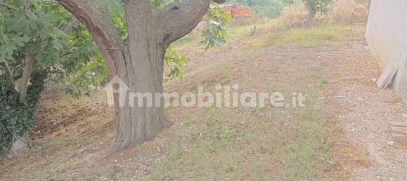 Дом с 5 спальнями в Сант Эльпидио а Маре, Италия № 124309 12