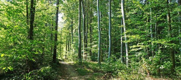 Terreno en Pressbaum, Austria 662 m² No. 98291 4