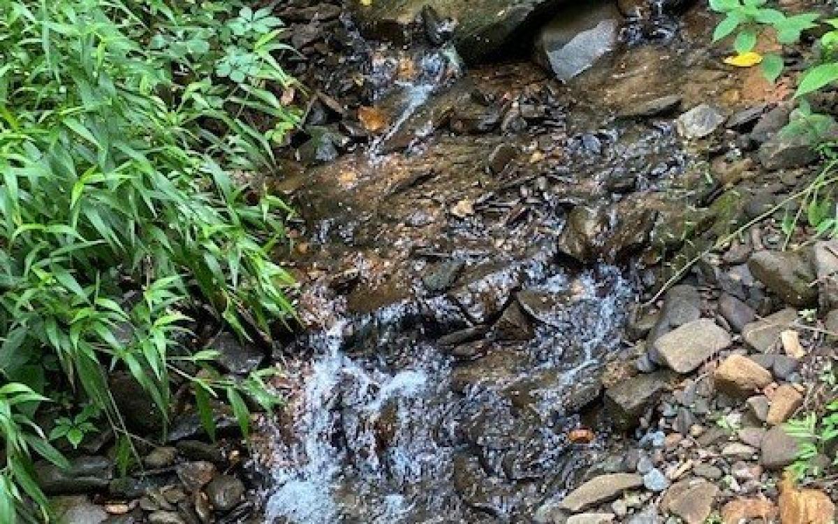  Land in Ellijay, USA No. 495461