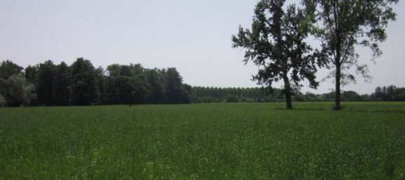 5 rooms Duplex in Robecco sul Naviglio, Italy No. 257711 3