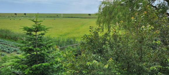 Casa de 5 divisões em Dithmarschen, Germany N.º 275476 9