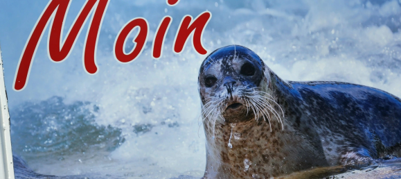 Casa de 5 divisões em Dithmarschen, Germany N.º 275476 2