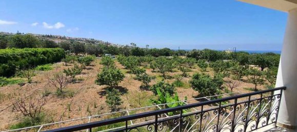 Propiedad comercial de 6 dormitorios en Chloraka, Cyprus No. 81498 15