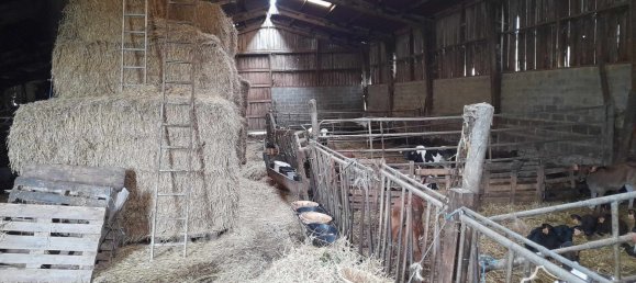 Terreno en Sars-Poteries, France No. 223763 11