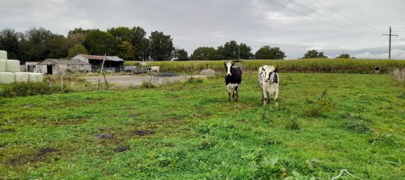 Terreno en Sars-Poteries, France No. 223763 3