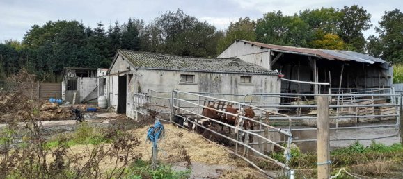 Terreno en Sars-Poteries, France No. 223763 7