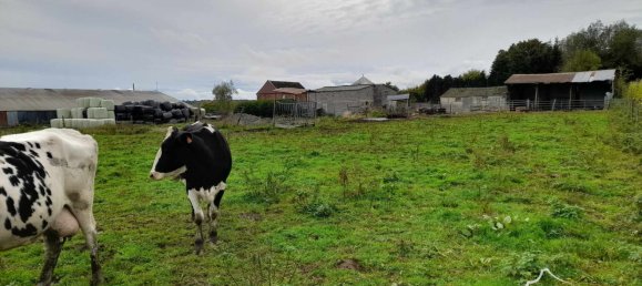 Terreno en Sars-Poteries, France No. 223763 2