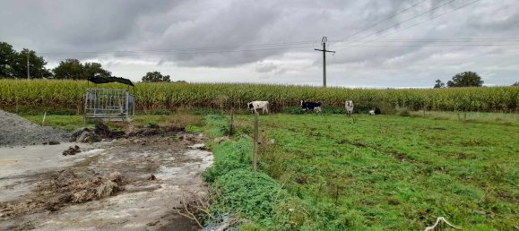 Terreno en Sars-Poteries, France No. 223763 9