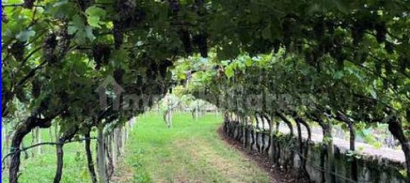 Квартира с 6 спальнями в Мори, Италия № 50716 17