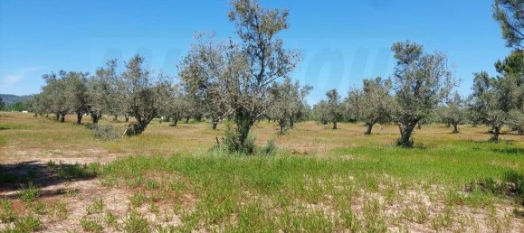  قطعة أرض في Grandola, Portugal 12500متر مربع رقم 323256 4