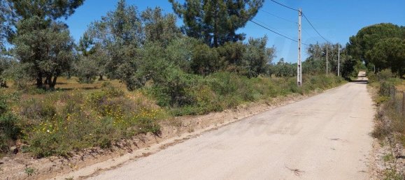  قطعة أرض في Grandola, Portugal 12500متر مربع رقم 323256 8