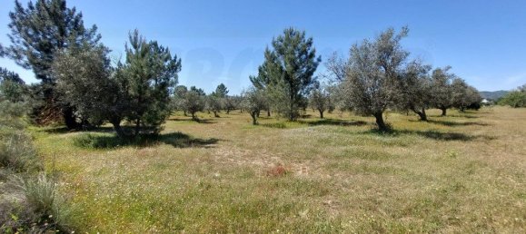  قطعة أرض في Grandola, Portugal 12500متر مربع رقم 323256 3