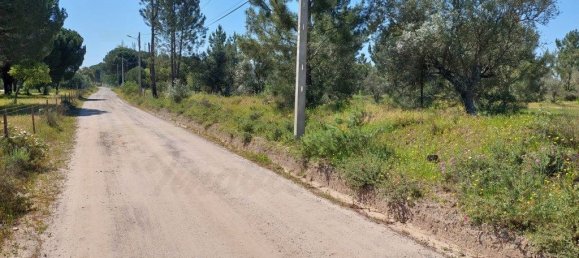  قطعة أرض في Grandola, Portugal 12500متر مربع رقم 323256 7