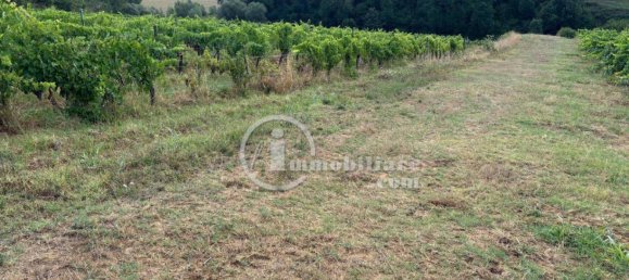 Grundstück in Montepulciano, Italy 51000m², Nr. 284600 4