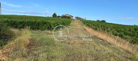 Grundstück in Montepulciano, Italy 51000m², Nr. 284600 9