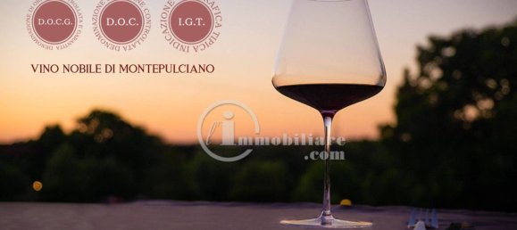 Grundstück in Montepulciano, Italy 51000m², Nr. 284600 18