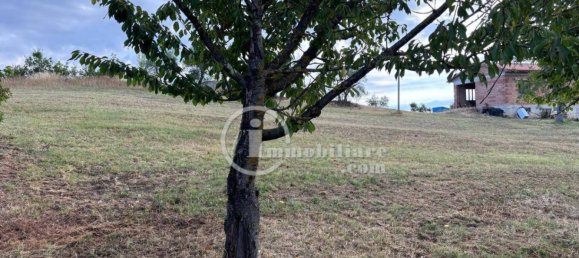 Grundstück in Montepulciano, Italy 51000m², Nr. 284600 11