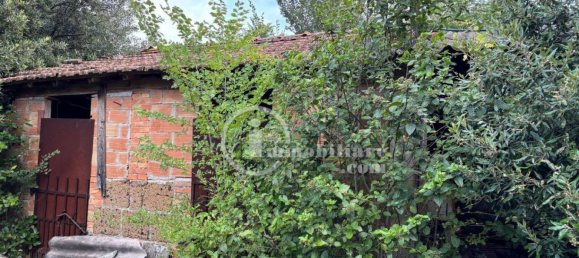 Grundstück in Montepulciano, Italy 51000m², Nr. 284600 7