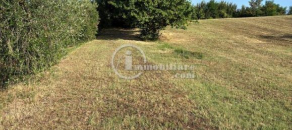 Grundstück in Montepulciano, Italy 51000m², Nr. 284600 3