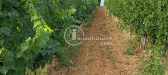 Grundstück in Montepulciano, Italy 51000m², Nr. 284600 2