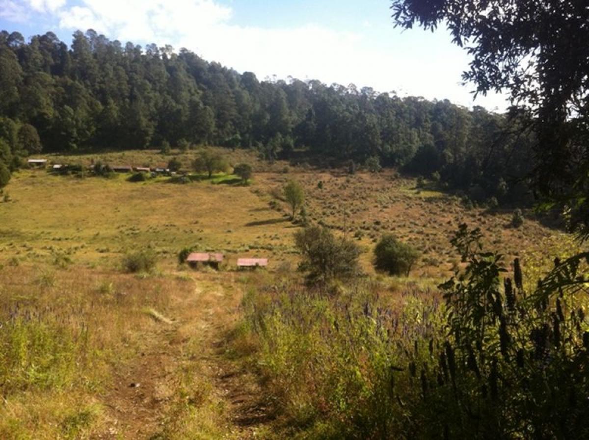 Terrain à Heroica Matamoros, Mexico No. 206902