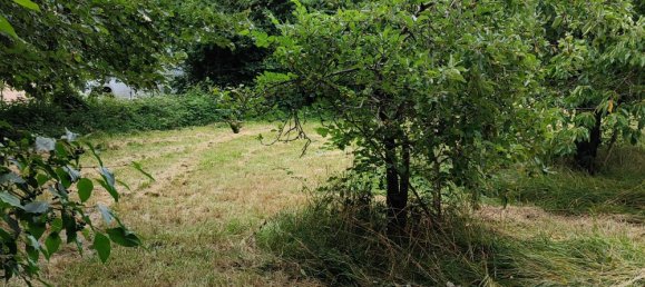  قطعة أرض في Charente-Maritime, France رقم 282290 2