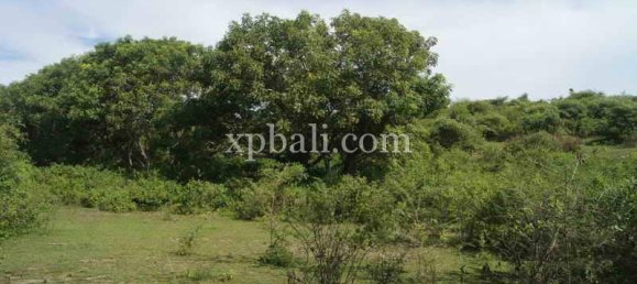 Grundstück in West Nusa Tenggara, Indonesia 39865m², Nr. 4175 3