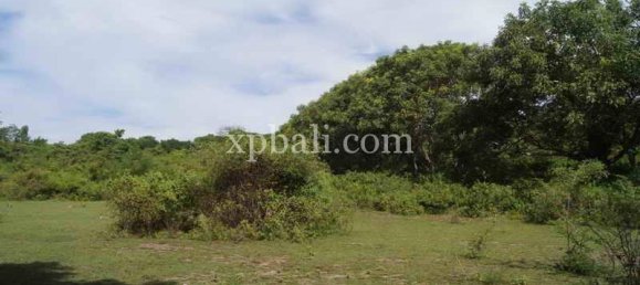 Grundstück in West Nusa Tenggara, Indonesia 39865m², Nr. 4175 4