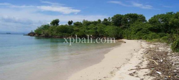 Grundstück in West Nusa Tenggara, Indonesia 39865m², Nr. 4175 7