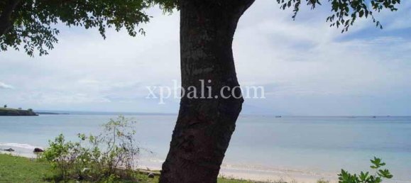 Grundstück in West Nusa Tenggara, Indonesia 39865m², Nr. 4175 2