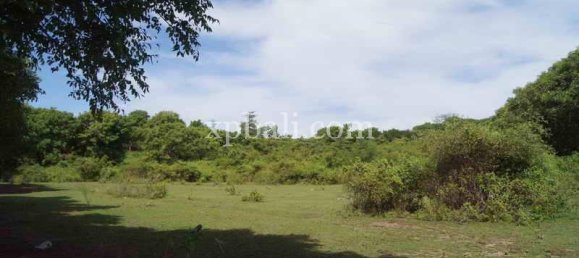 Grundstück in West Nusa Tenggara, Indonesia 39865m², Nr. 4175 5