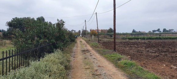  عقار تجاري في Chalkidiki, Greece 200متر مربع رقم 3789 3