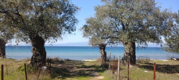 10500m² Hotel in Thasos, Greece No. 7955 5