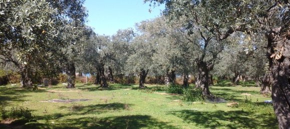 10500m² Hotel in Thasos, Greece No. 7955 8