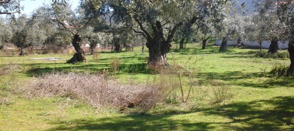 10500m² Hotel in Thasos, Greece No. 7955 7