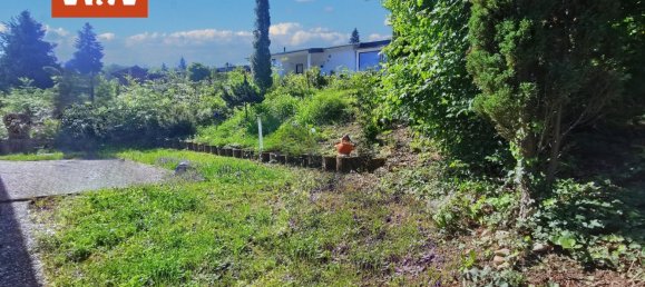 Бунгало с 2 спальнями в Бад-Кройцнах, Германия № 142746 6